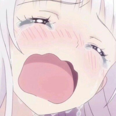原来老辈子的不是不理解二次元
